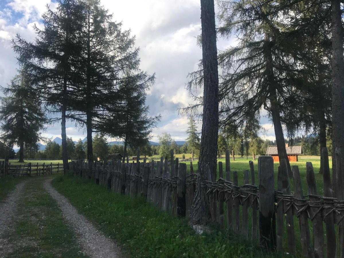 Beckenbinder Apartement Rosengarten San Genesio Atesino Zewnętrze zdjęcie
